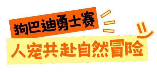 球速体育app深圳这些赛事超萌超燃超多名场面(图5)