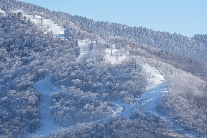 国际顶尖冰雪赛事为何青睐吉林球速体育北大湖？(图5)