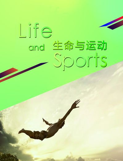 球速体育运动科技设备新势力WARPING POINT引领中国匹克球全民体育新风尚
